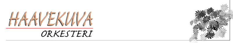 haavekuva orkesteri